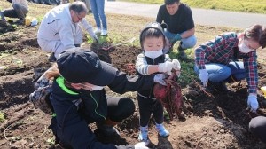 2020_0.10.25 サツマイモ掘り🍠_201110